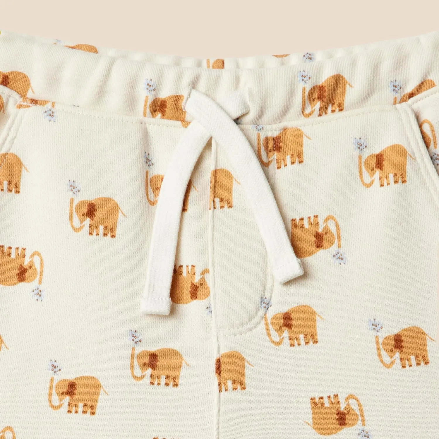 Amazon Essentials x Sofia Grainge Toddlers and Baby Boys' Pull On Knit Shorts, Pack of 2
