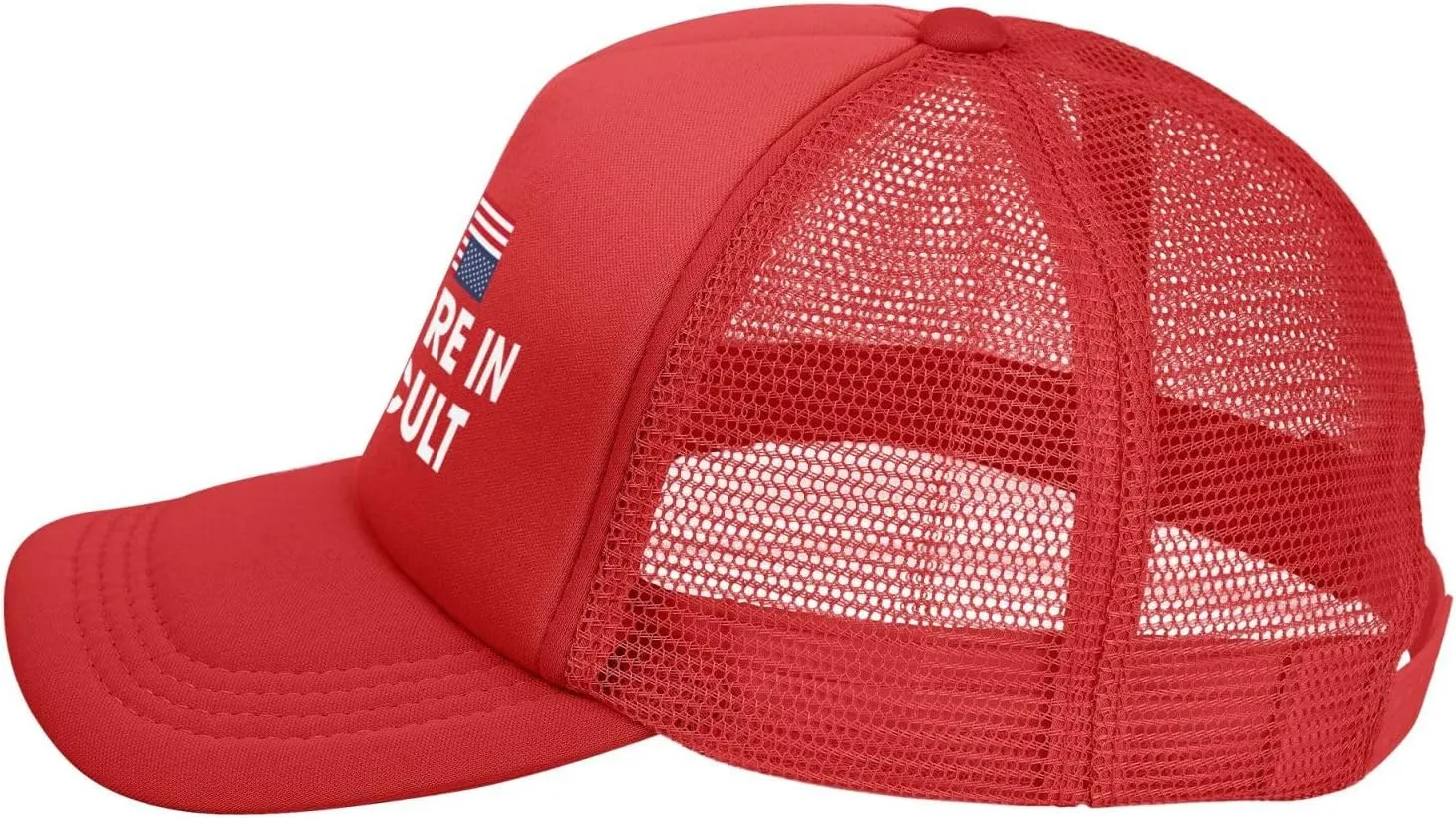 You're in A Cult Hats Anti-Idiots Mesh Trucker Baseball Cap